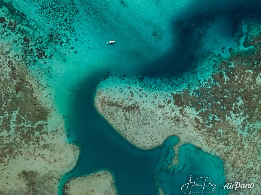 Coral reef, Moorea